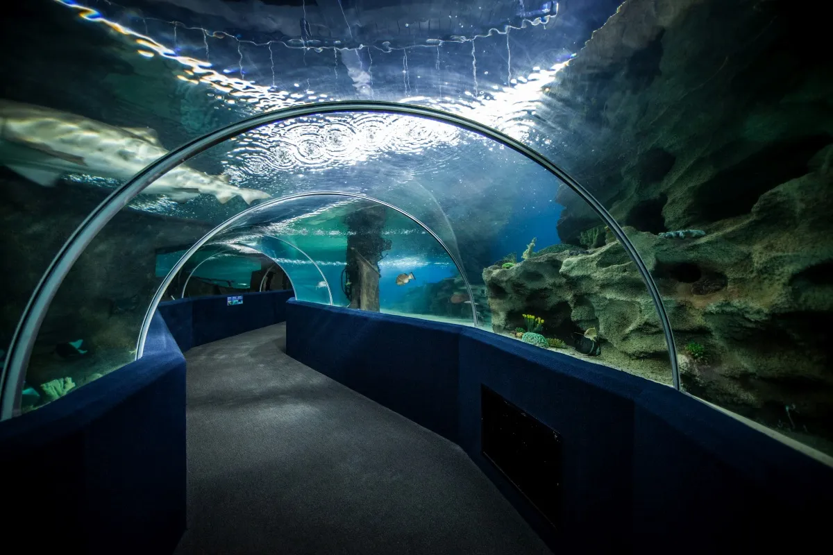 Vinpearl Underwater World