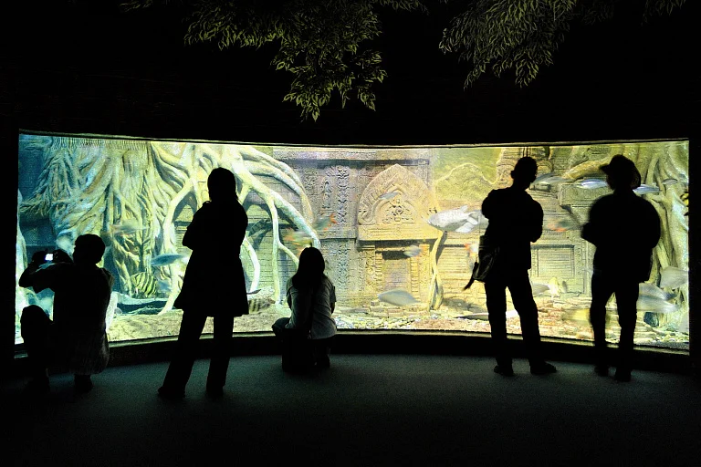 Chiang Mai Aquarium