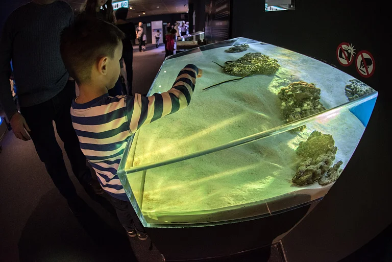 SKK Galaxy Aquarium