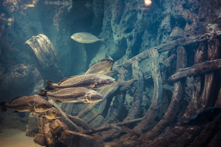 Malta National Aquarium