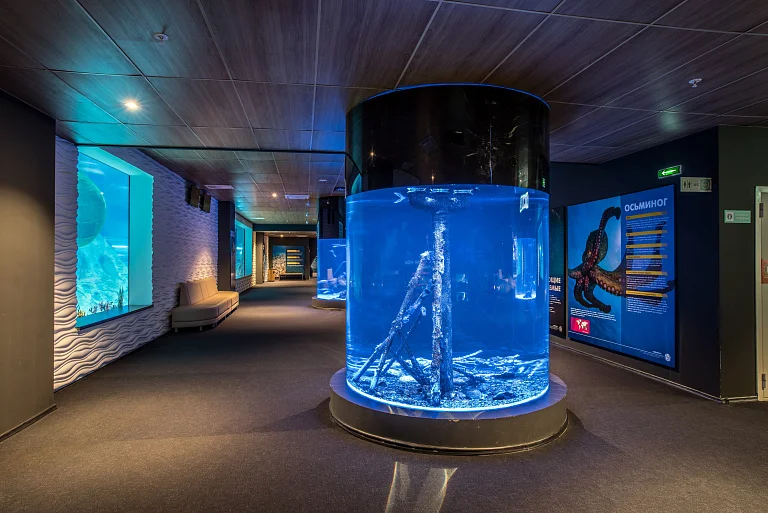 SKK Galaxy Aquarium