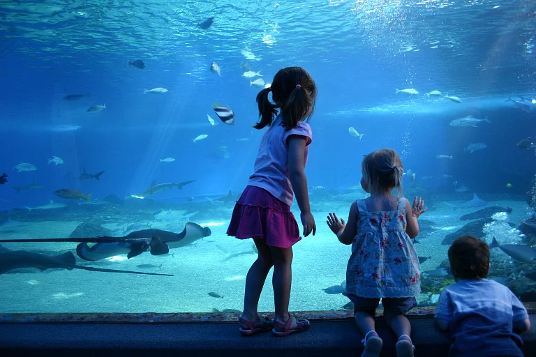 Iran Mall Aquarium