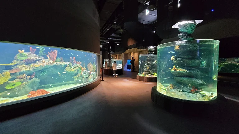 大田水族馆
