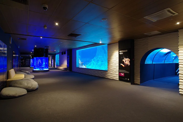SKK Galaxy Aquarium