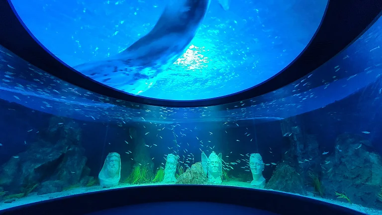 大田水族馆
