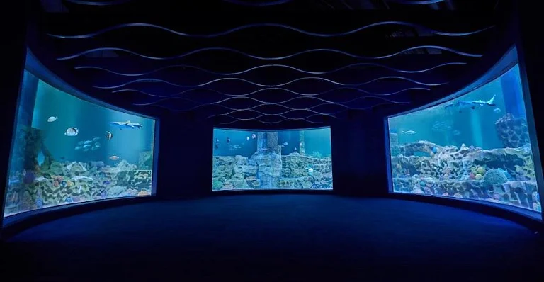 VGP海洋王国 
