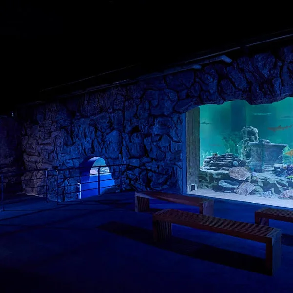 VGP Marine Kingdom