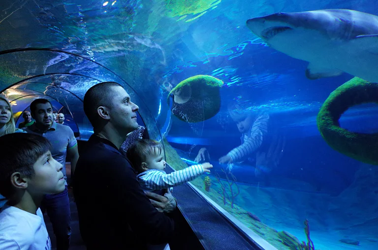 SKK Galaxy Aquarium