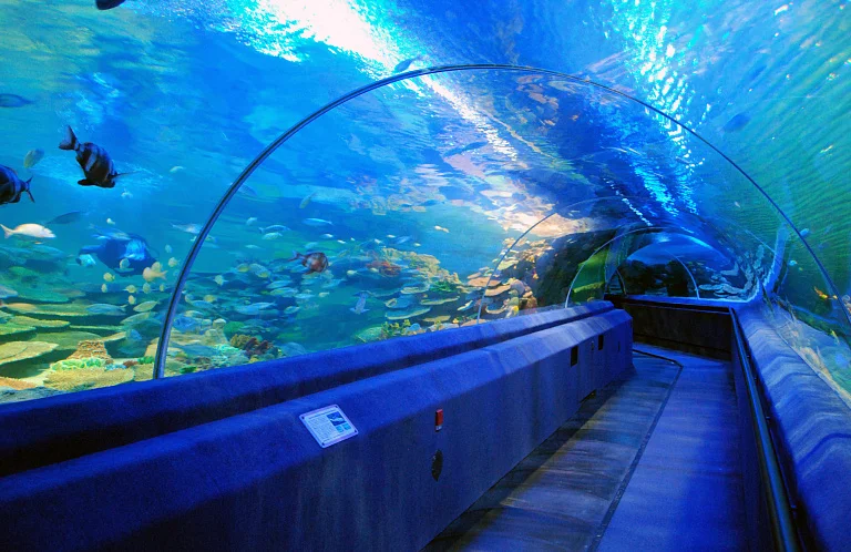 SEA LIFE Istanbul Aquarium