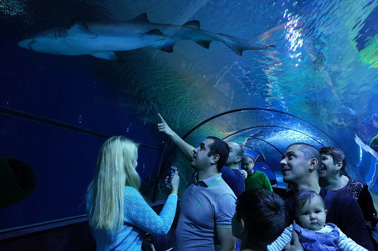 SKK Galaxy Aquarium
