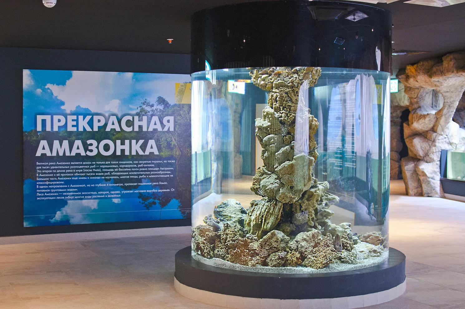 SKK Galaxy Aquarium