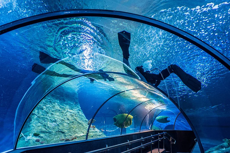 SKK Galaxy Aquarium
