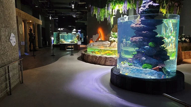 大田水族馆
